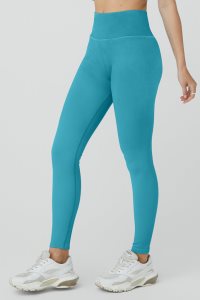 Legíny Alo Yoga Seamless High-Pasem Žebrovaný Blankyt | NFPKJIY-54