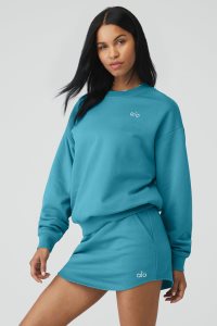 Long Sleeve Alo Yoga Accolade Crew Neck Blankyt | JCWUQDF-28