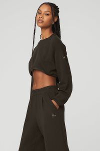 Long Sleeve Alo Yoga Cropped Tailored Crew Neck Káva | WBSJUOD-07