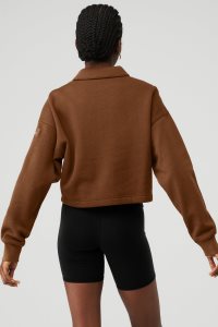 Mikiny Alo Yoga Polo Henley Hnědé | LYEQJUG-56