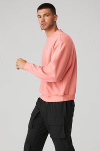 Mikiny S Kapucí Alo Yoga Accolade Crew Neck Růžové | CWDMLEN-67