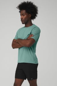 Short Sleeve Alo Yoga Idol Performance Tee Blankyt | SMFOAVE-81