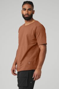 Short Sleeve Alo Yoga Society Crewneck Tee Červené | ZFCXVUM-63