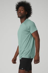 Short Sleeve Alo Yoga The Triumph Crew Neck Tee Blankyt | LTHYKVP-48