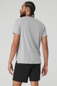 Short Sleeve Alo Yoga The Triumph Crew Neck Tee Šedé | MTPSRKF-54