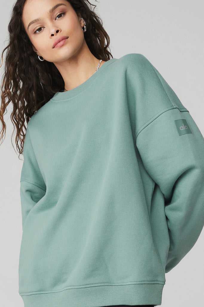 Long Sleeve Alo Yoga Renown Heavy Weight Crew Neck Blankyt | LTCDPUM-72