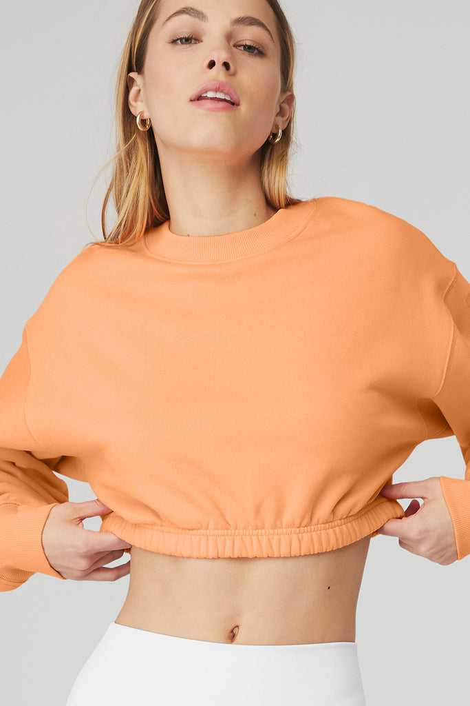 Mikiny Alo Yoga Devotion Crew Neck Oranžové | CXYAWMK-48