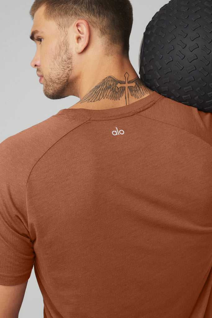 Short Sleeve Alo Yoga The Triumph Crew Neck Tee Červené | CESUOAF-90