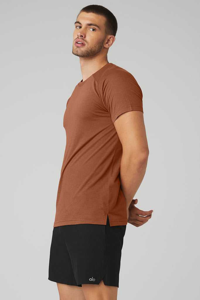 Short Sleeve Alo Yoga The Triumph Crew Neck Tee Červené | CESUOAF-90