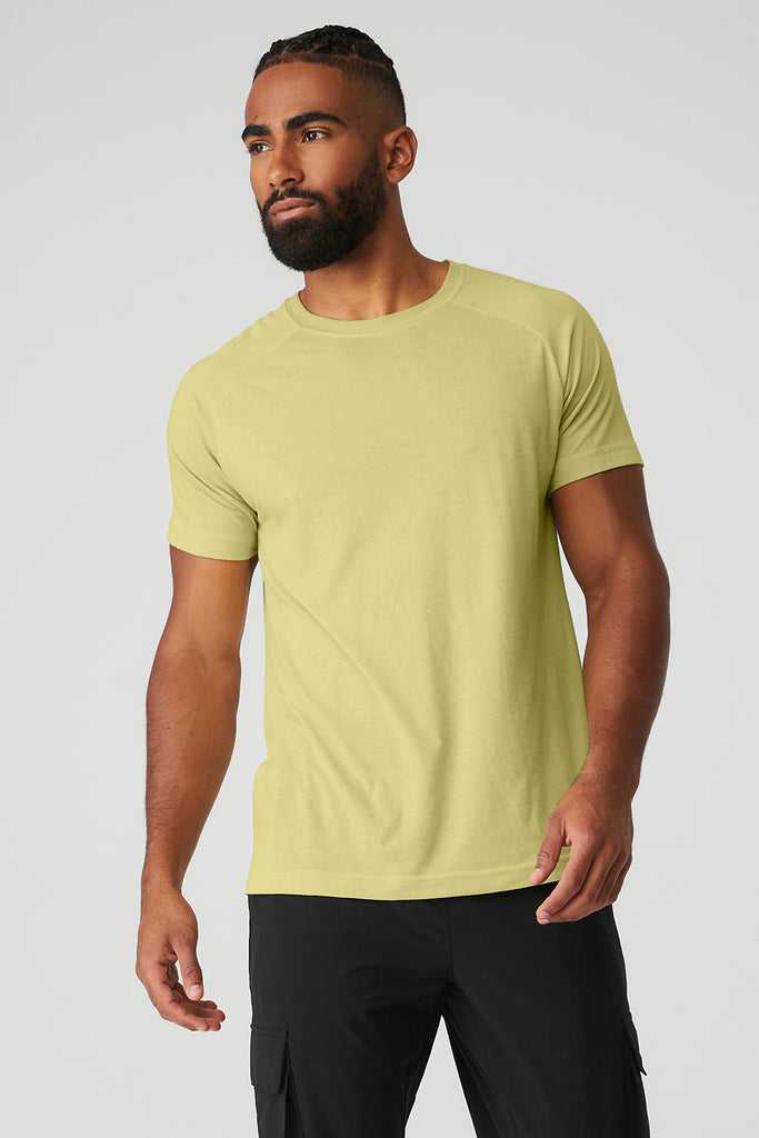 Short Sleeve Alo Yoga The Triumph Crew Neck Tee Žluté | JLYEVRA-75