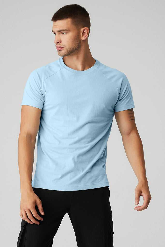 Short Sleeve Alo Yoga The Triumph Crew Neck Tee Blankyt | OUHQDCY-27