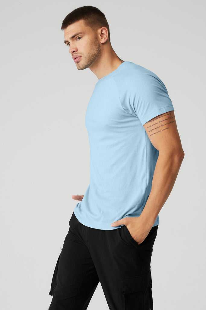 Short Sleeve Alo Yoga The Triumph Crew Neck Tee Blankyt | OUHQDCY-27